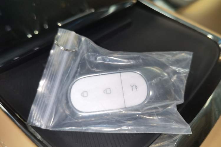 Used Leapmotor C01 2024 Pure Electric 525 Luxury Edition
