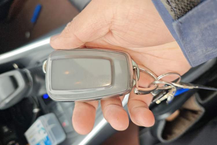 Used Toyota Wildlander 2020 Dual-Engine 2.5L E-CVT Two-Wheel Drive Luxury Edition