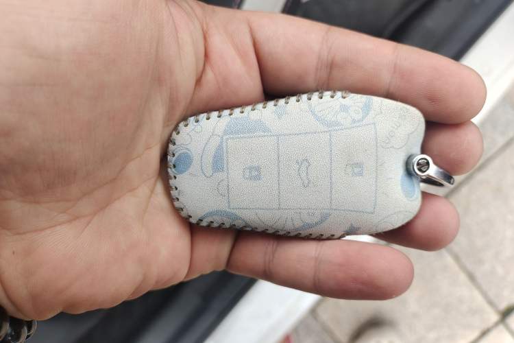 Used SOL E10X 2022 Flower Fairy Design Four-Leaf Clover Vehicle Key