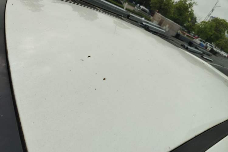 Used Ford Focus 2012 Hatchback 1.6L Automatic Comfort Model Roof