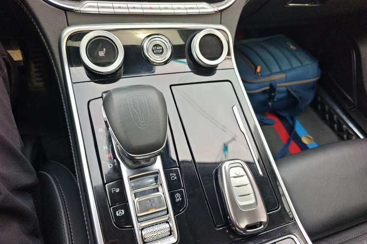 Used Hongqi H9 2020 2.0T Smart Connect Flagship Edition
