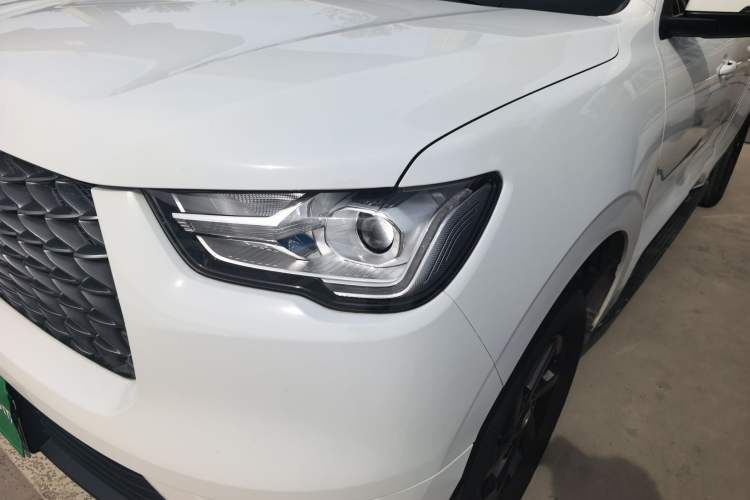 Used Great Wall Poer 2019 2.0T Commercial Version Manual Diesel Two-Wheel Drive Elite Long-Box GW4D20M