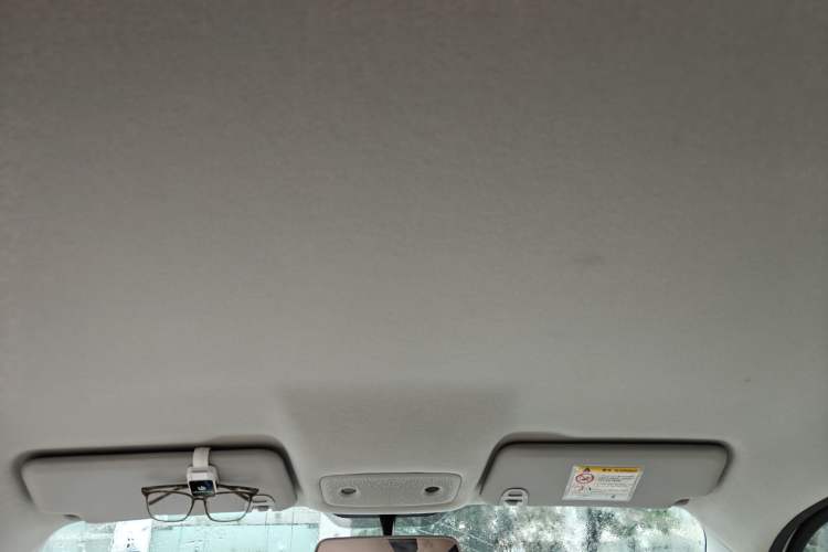 Used Leapmotor T03 2024 310 Comfort Edition Headliner