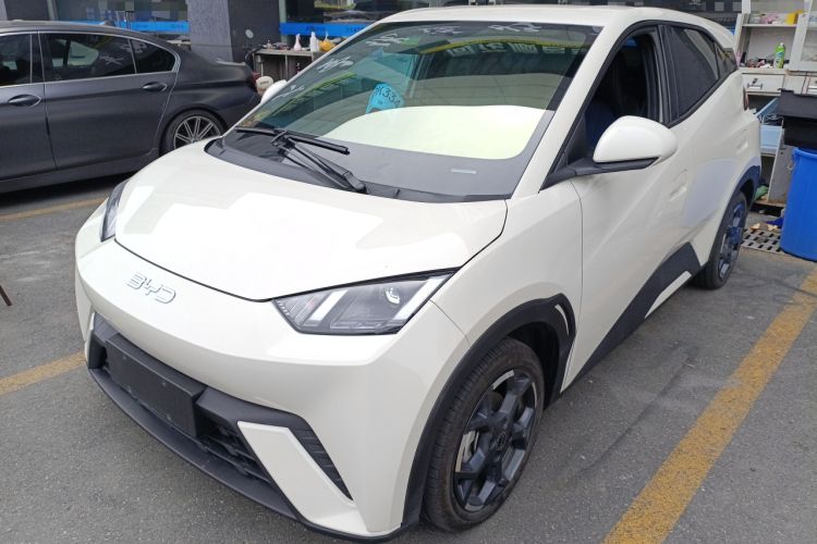 Used BYD Seagull 2025 305 km Free Version