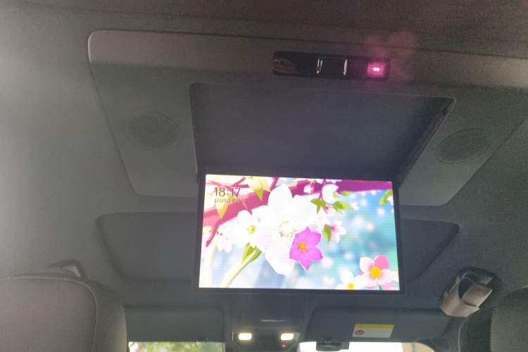 Used Li Auto L9 2024 Ultra Model Headliner