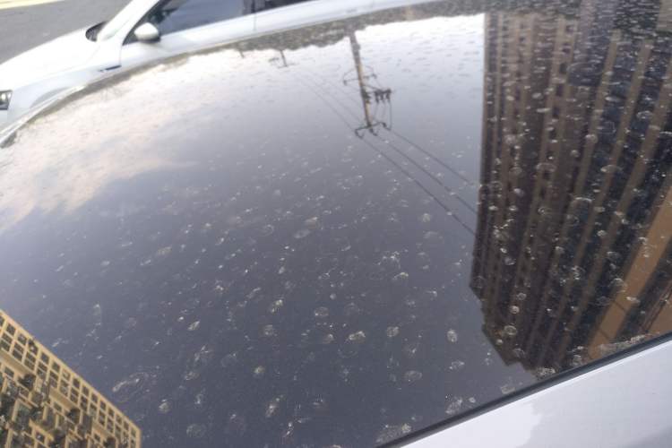 Used Polestar 2 2021 Dual Motors Long Range