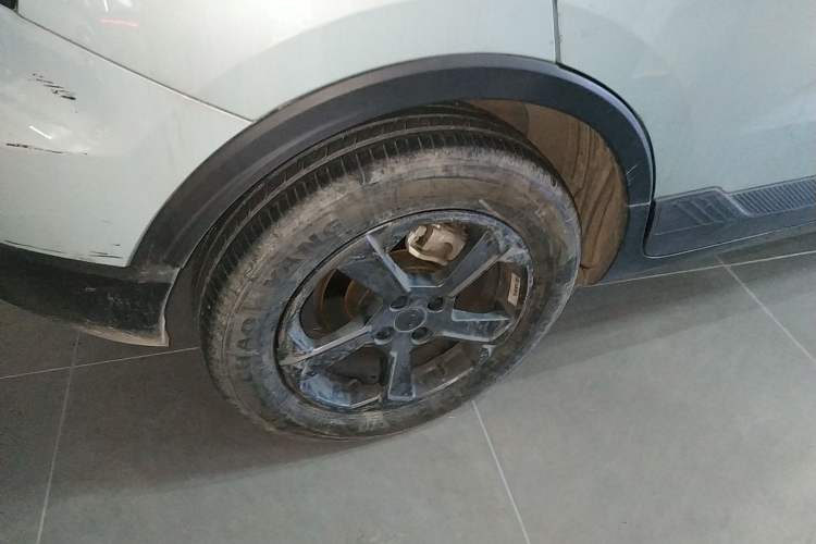 Used Geometry E Firefly 2022 320KM Cute Tiger 4-Seater
