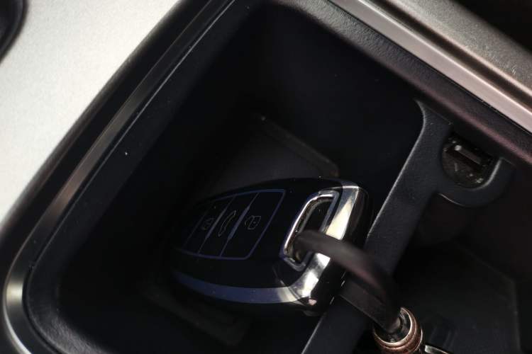 Used Haval DARGO 2024 2.0T DCT Chinese Rural Dog Edition
