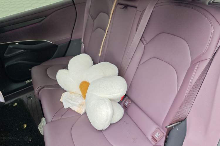 Used Xiaomi Auto SU7 2024 Four-Wheel Drive Ultra-Long Range Advanced Intelligent Driving Max Edition Left Rear Seat