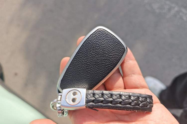 Used Chery Little Ant 2022 Sweet Pink Edition Half-Sugar Version Lithium Iron Phosphate 29.2 kWh 30 kW 301 km Vehicle Key