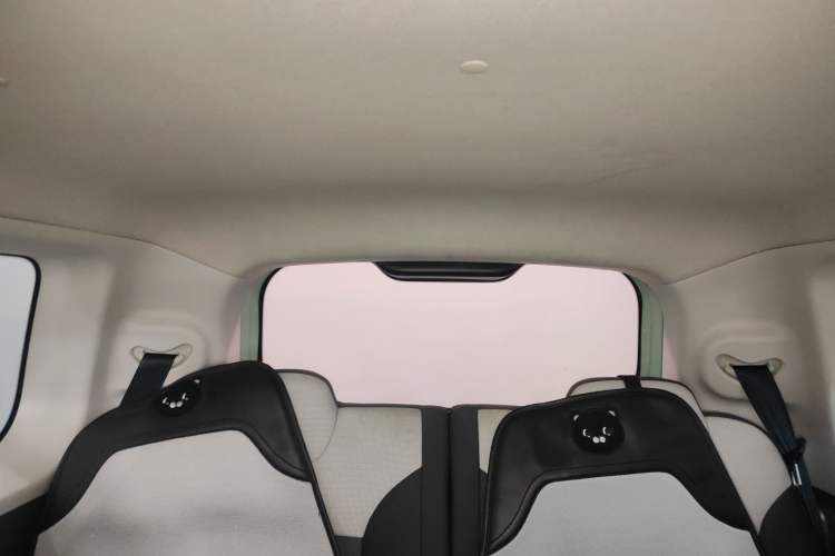 Used Qiyuan Lumin 2022 210km Sweet Edition