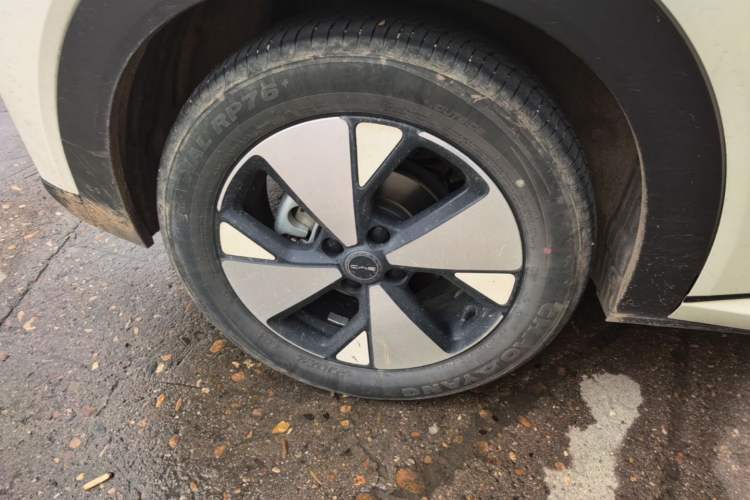Used BYD Dolphin 2024 Honor Edition 420km Fashion Version
