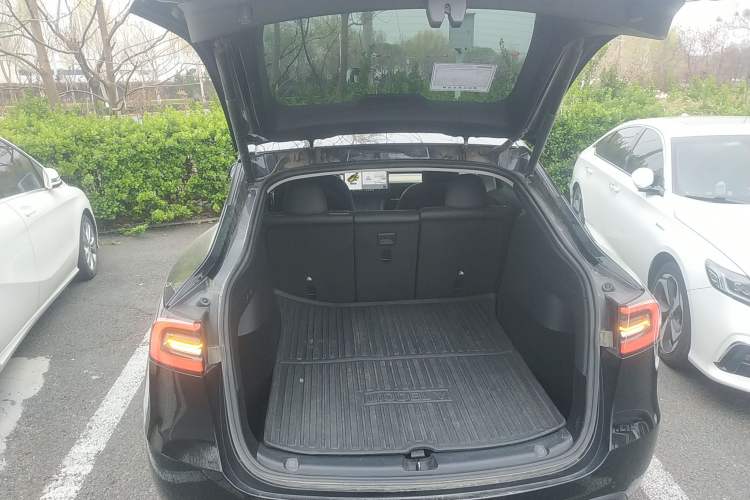 Used Tesla Model Y 2021 Standard Range Rear-Wheel Drive Version
