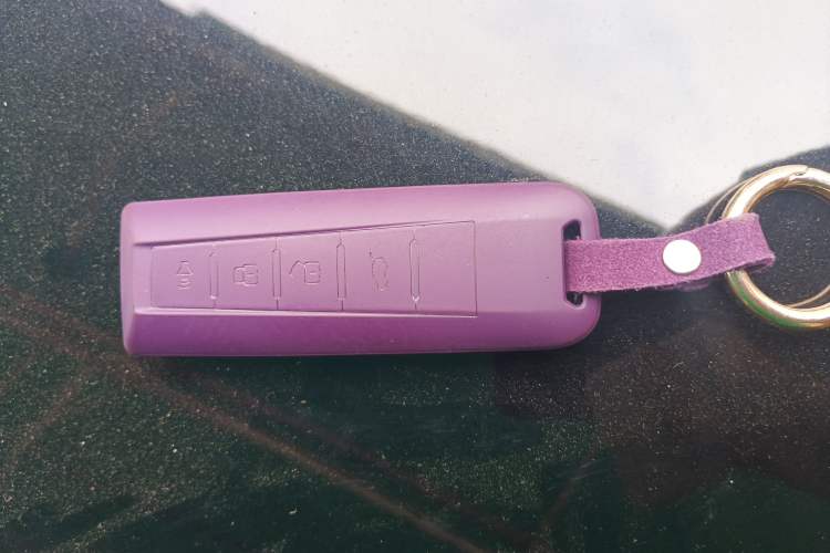 Used Wey Macchiato DHT-PHEV 2021 1.5L Master Edition
