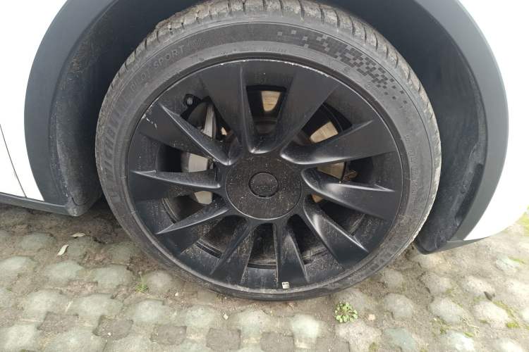 Used Tesla Model Y 2022 Revised Version Long-Range All-Wheel Drive