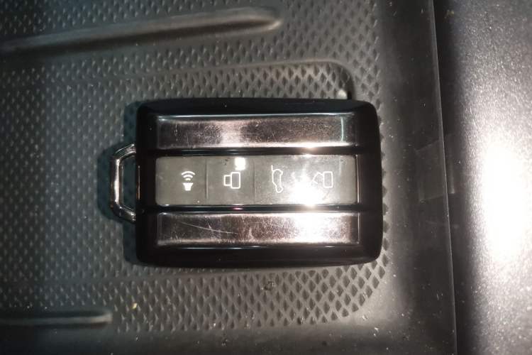 Used Tank 300 New Energy 2025 Hi4-T