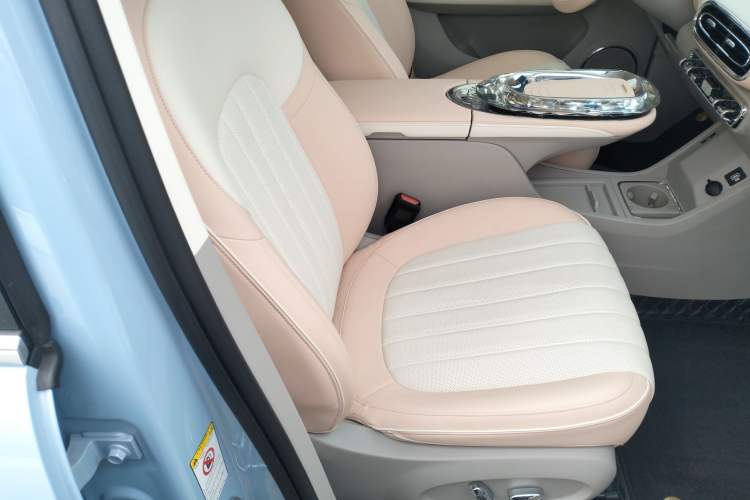 Used ORA Ballet Cat 2022 500 km Swan Lake Edition