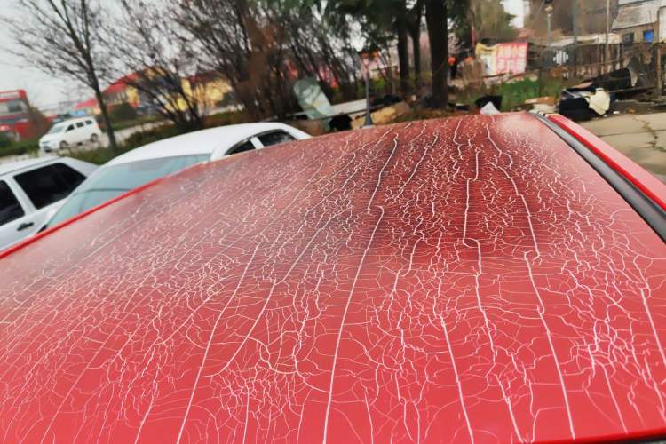 Used Wuling Hongguang MINIEV 2020 Freedom Version Lithium Iron Phosphate