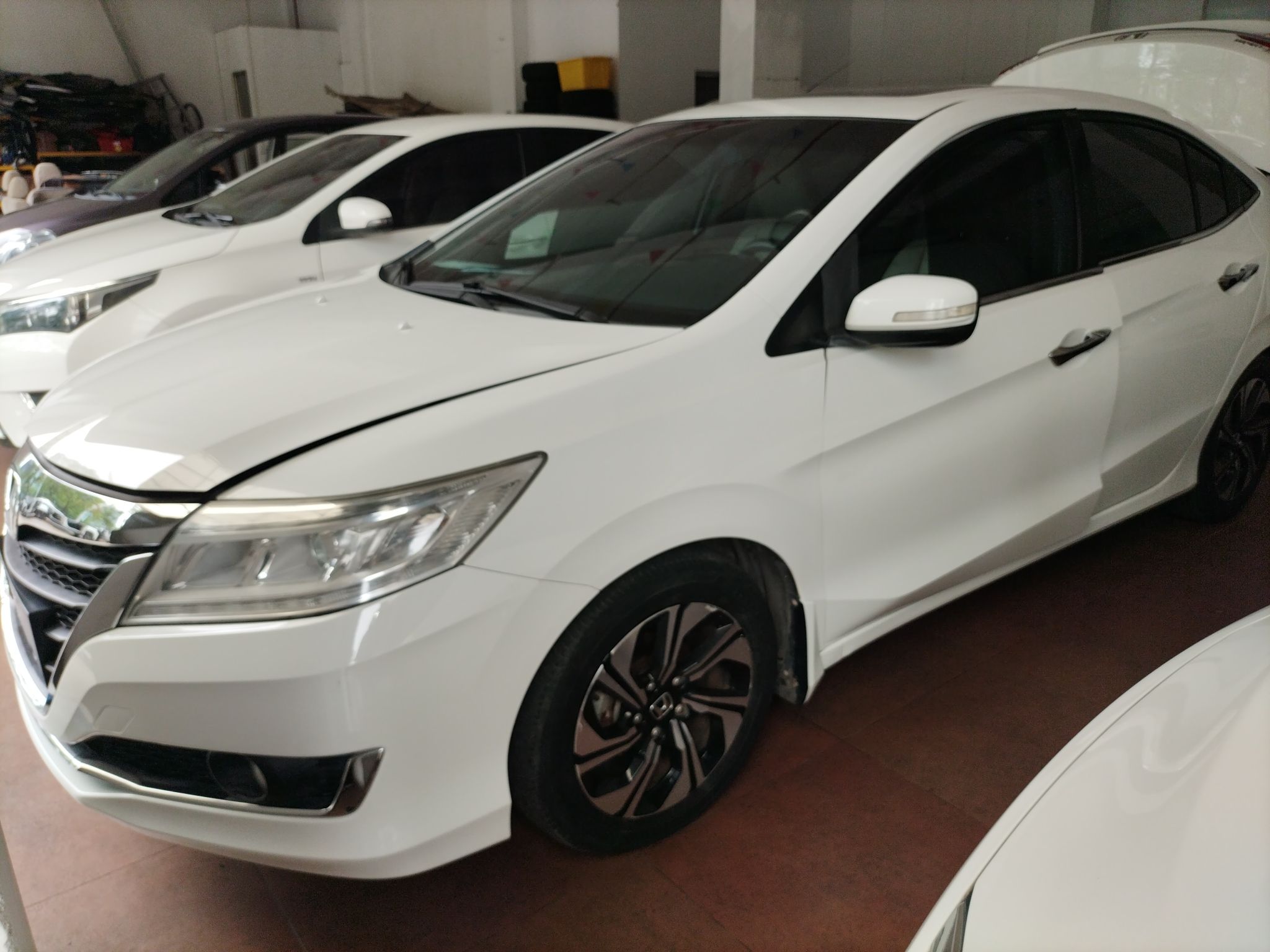 Parte inferior delantera