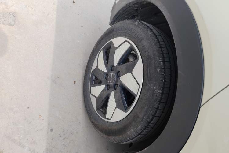 Used BYD Dolphin 2024 Honor Edition 420km Freedom Version Exterior 5