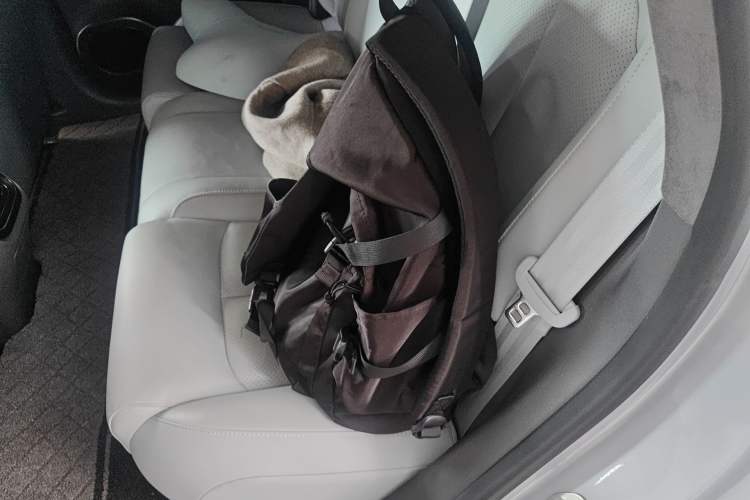 Used Leapmotor C01 2022 Rear-Drive Long-Range Version Left Rear Seat