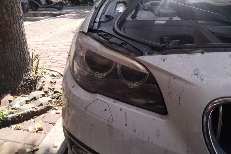 Used BMW 5 Series 2017 525Li Luxury Design Package