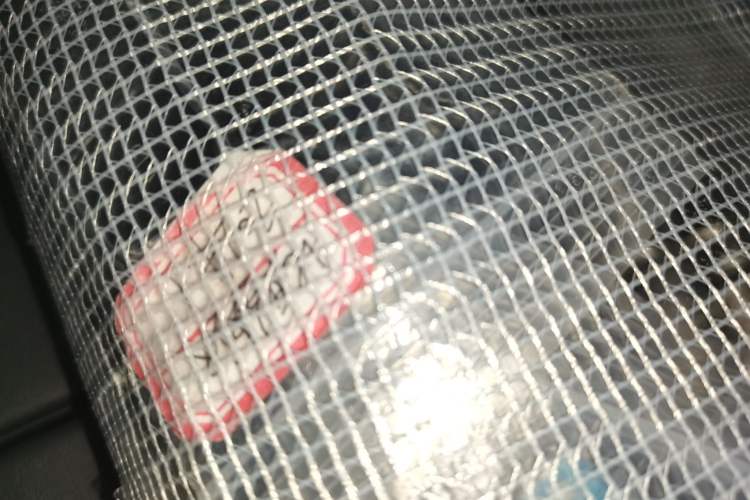 Used GAC Trumpchi E9 2023 E9 Championship Edition