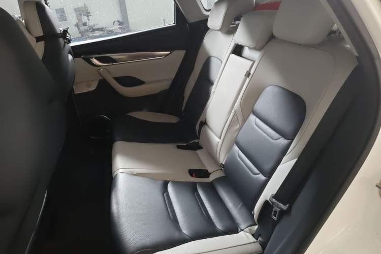 Used WM Motor EX5 2018 EX5 400 Extra Innovation Edition Left Rear Seat