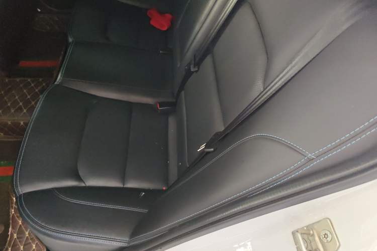 Used Geely Auto Emgrand New Energy 2017 1.5L PHEV Elite Model Left Rear Seat