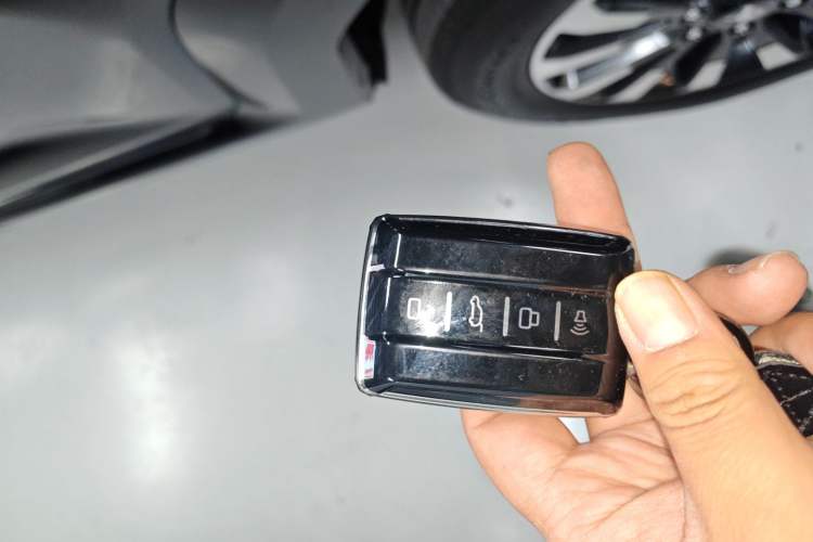 Used Tank 700 New Energy 2024 Hi4-T Extreme Edition Interior 1