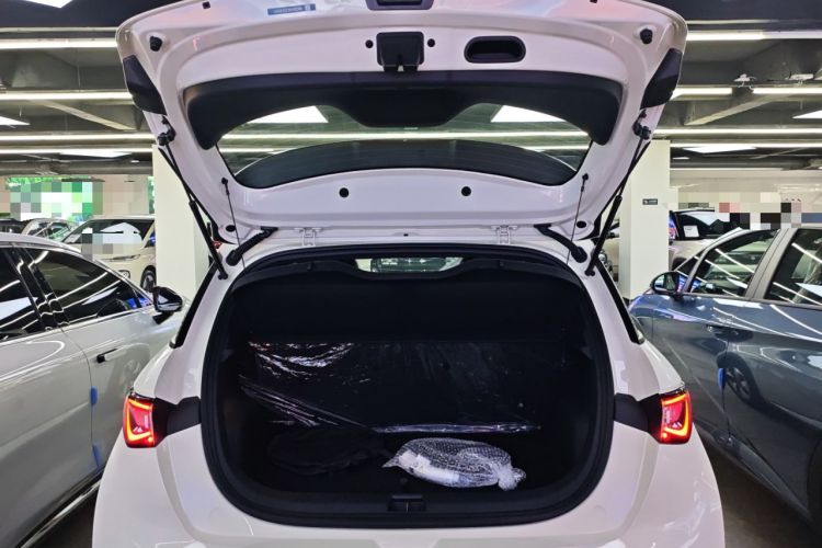 Used BYD Dolphin 2025 420km Free Edition