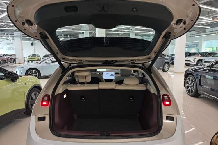 Used firefly 2025 Illuminated Edition
