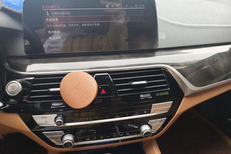 Used BMW 5 Series 2020 530Li Leading Model M Sport Package
