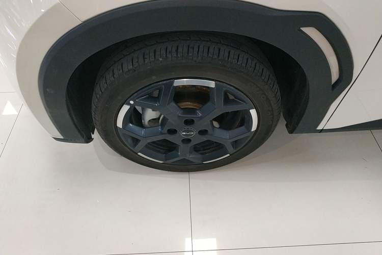 Used BYD Seagull 2025 305 km Free Version