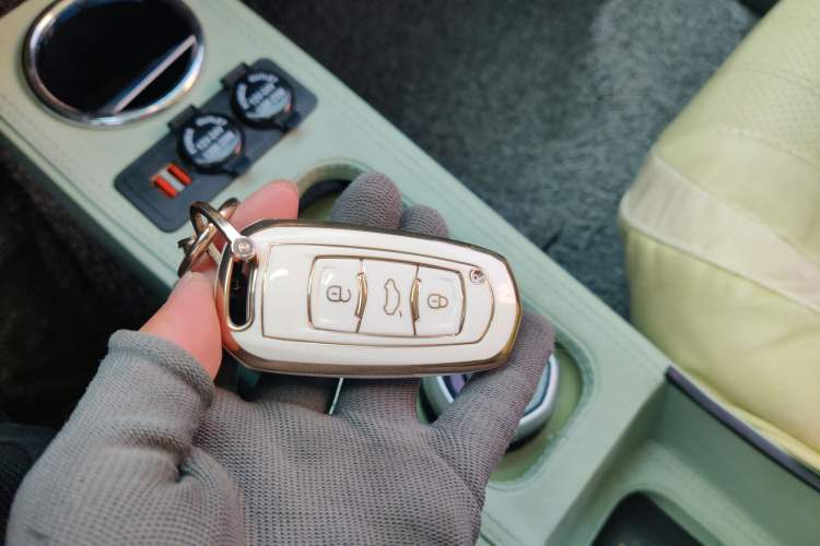 Used Geely Galaxy Panda 2023 Panda Mini 200km Dynamic Bear
