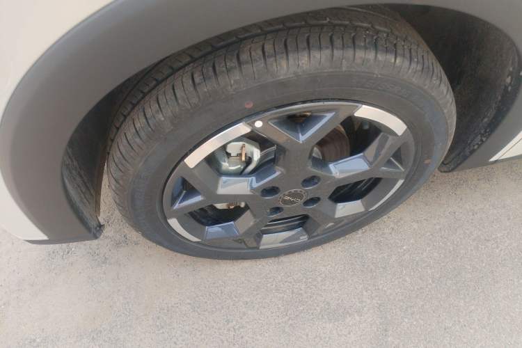 Used BYD Seagull 2025 305 km Free Version