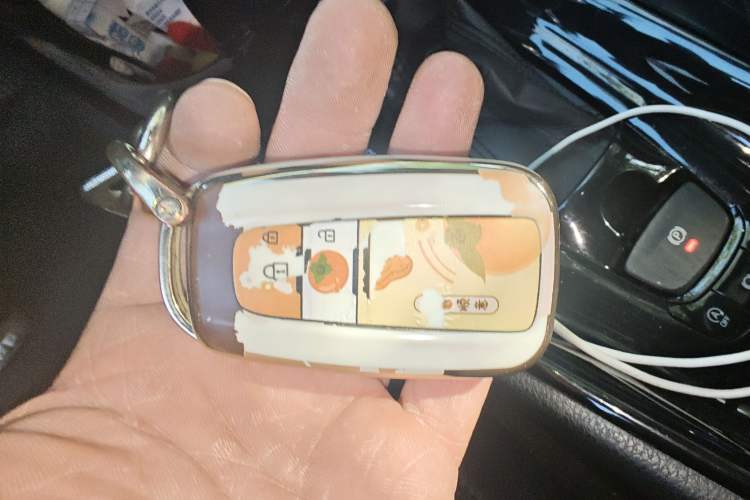 Used Toyota C-HR 2018 2.0L Leading with Sunroof China VI Standard Vehicle Key