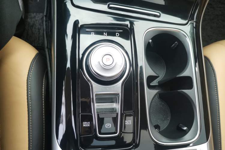 Used Kia Carnival 2021 2.0T Flagship Edition