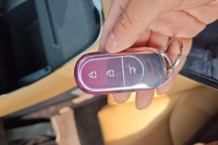 Used Leapmotor C01 2024 Pure Electric 525 Smart Drive Edition
