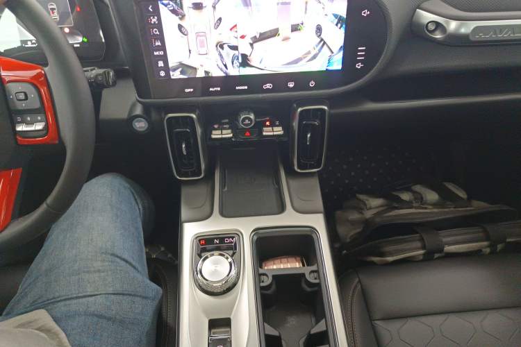 Used Haval DARGO 2024 2.0T DCT Chinese Rural Dog Edition
