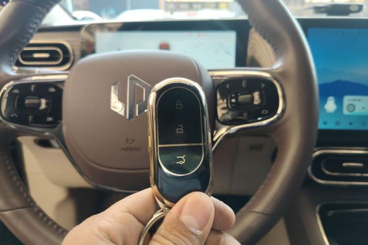 Used Leapmotor C11 2023 Pure Electric 500 Smart Edition