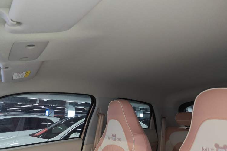 Used Leapmotor T03 2023 310 Lite Edition Headliner