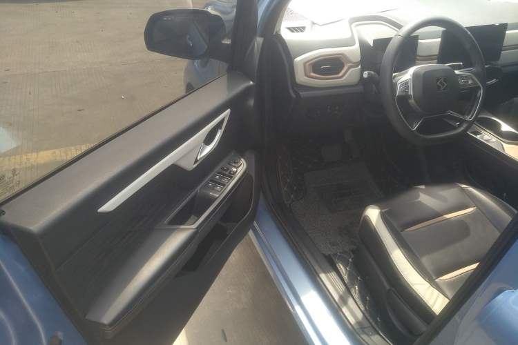 Used SOL E10X 2022 Flower Fairy Design Four-Leaf Clover