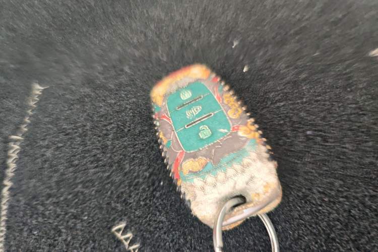 Used Haval H6 Coupe 2016 Blue Label 1.5T Automatic Two-Wheel Drive Urban Model Vehicle Key