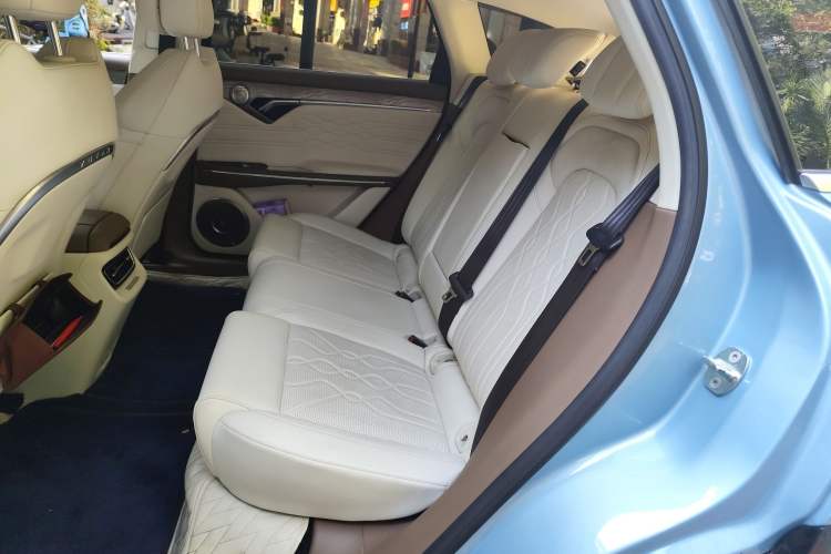 Used VOYAH FREE 2021 Two-Wheel Drive Standard Pure Electric City Edition
