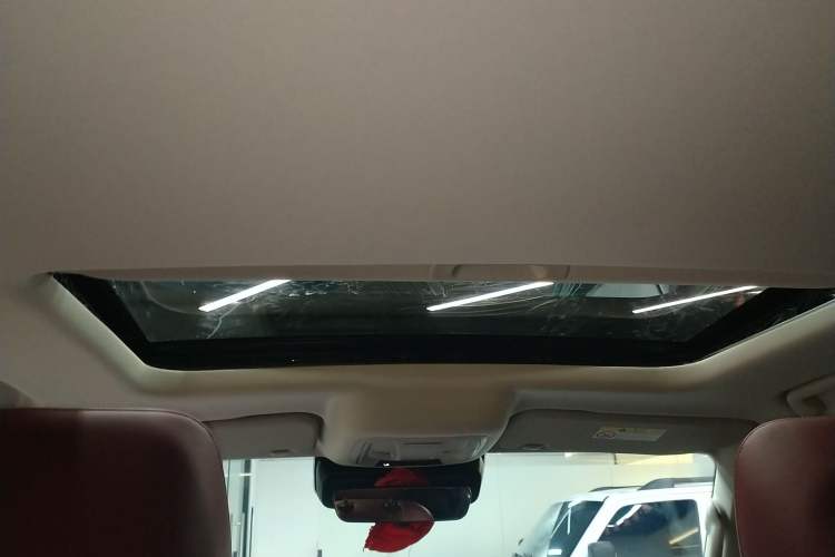 Used Tank 300 2024 2.0T Conqueror
