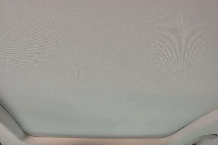 Used Ford Taurus 2019 EcoBoost 245 Premium Edition Headliner