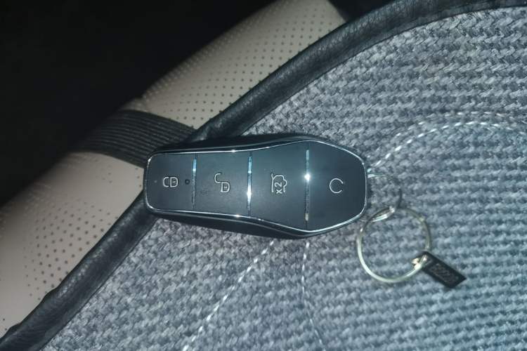 Used BYD Dolphin 2023 420 km Free Version Vehicle Key