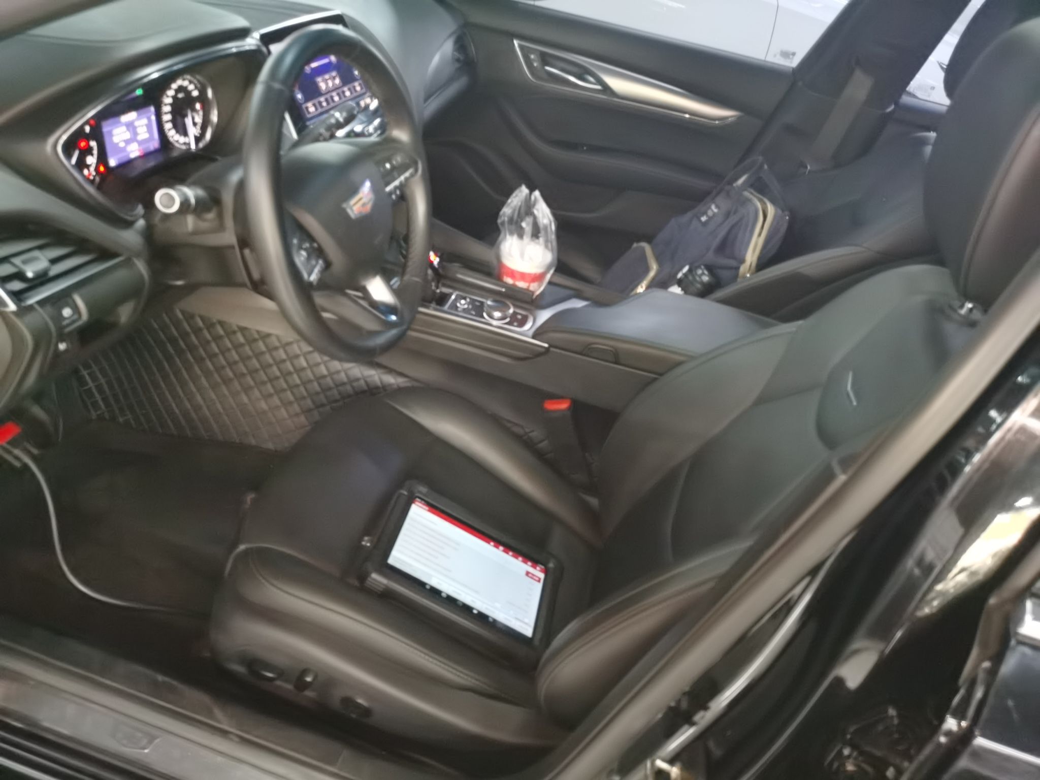 Interior delantero