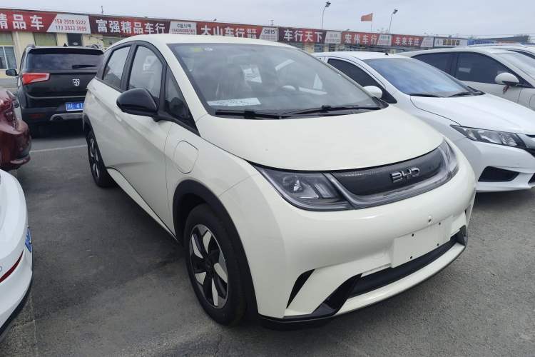 Used BYD Dolphin 2025 420km Free Edition